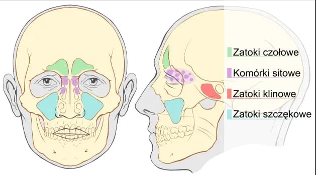 Jak leczyć zatoki u dziecka: skuteczne metody i domowe sposoby