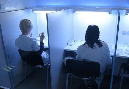 Metoda sensoryczna w ocenie jakości produktów spożywczych - klucz do sukcesu