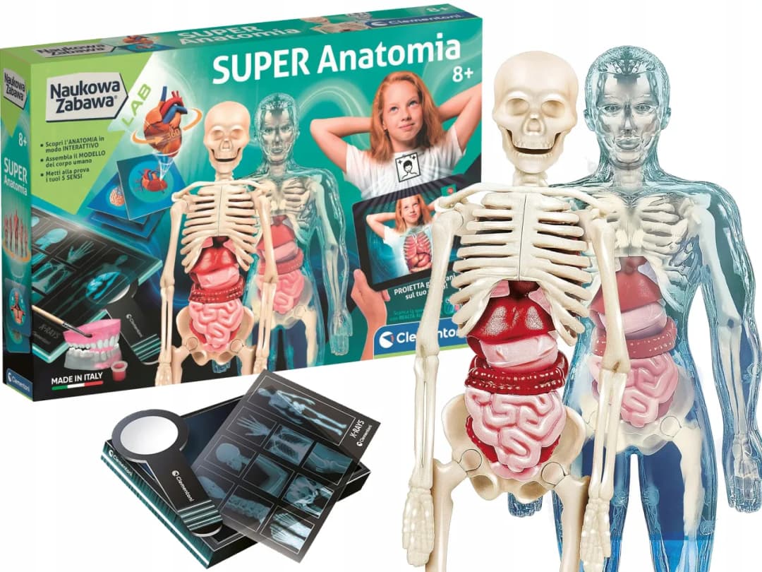 Najlepsze zabawki w kształcie mózgu, które rozweselą Twoje dziecko