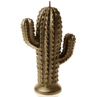Świeca Cactus Brass Small