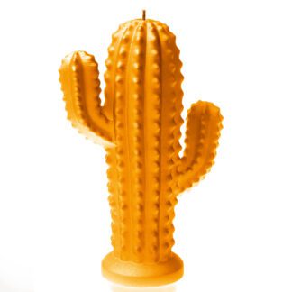 Świeca Cactus Orange Small